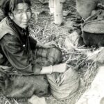 DAS LEBEN AUF DEM DACHE DER WELT