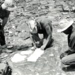 SIGILMASSA, CITTA' DELL'ORO