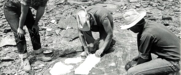 SIGILMASSA, CITTA' DELL'ORO