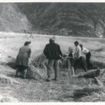 RIORDINO FONDIARIO: UN IMPEGNO PER L’AGRICOLTURA DI DOMANI