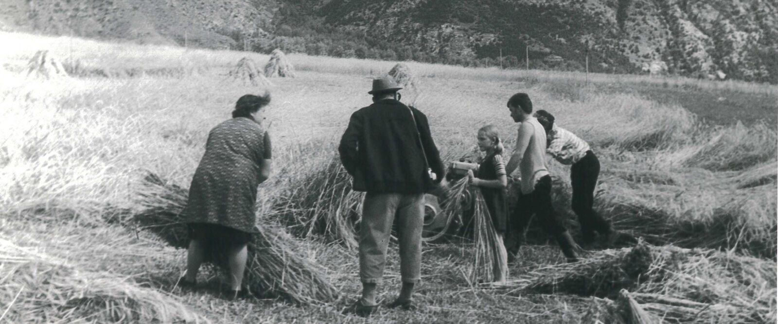 RIORDINO FONDIARIO: UN IMPEGNO PER L’AGRICOLTURA DI DOMANI