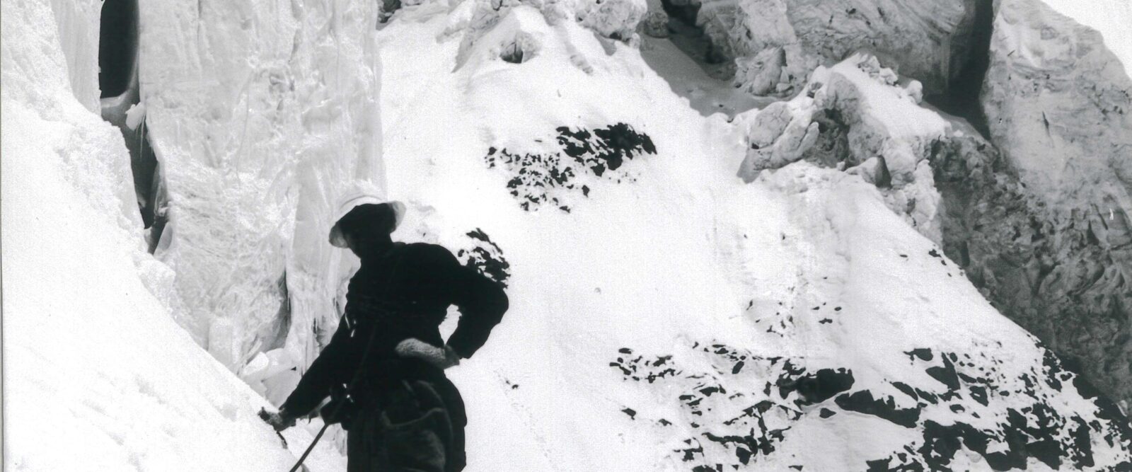 EISGIPFEL UND GOLDPAGODEN