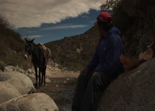 El viaje de Avelino