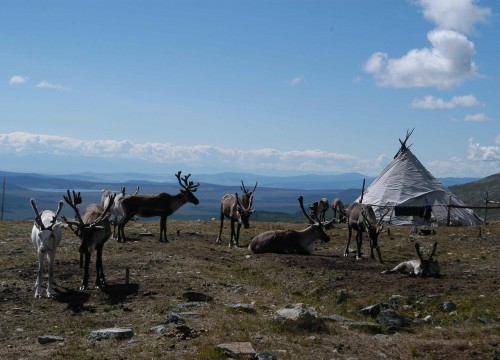 LA TERRA HABITADA