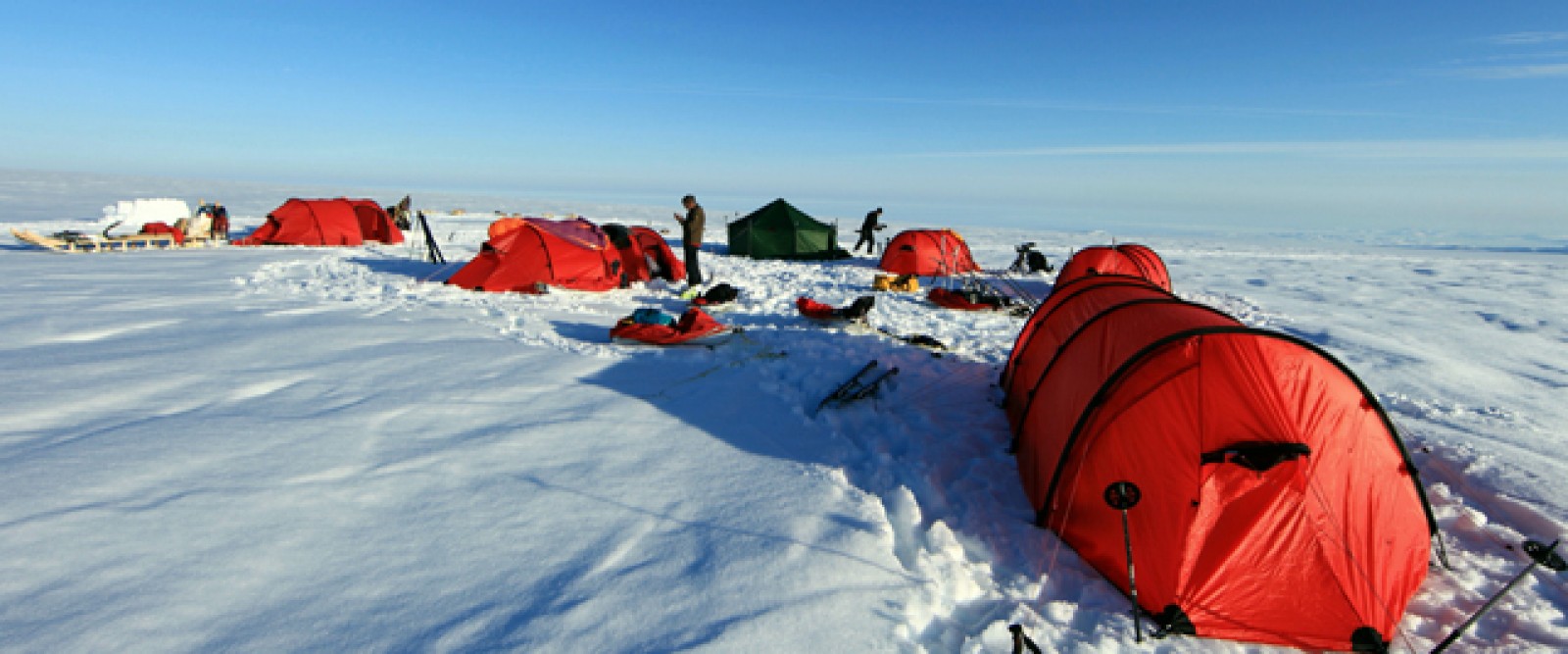 Weisser Horizont - Robert Peroni letzte Reise ins ewige Eis Grönlands