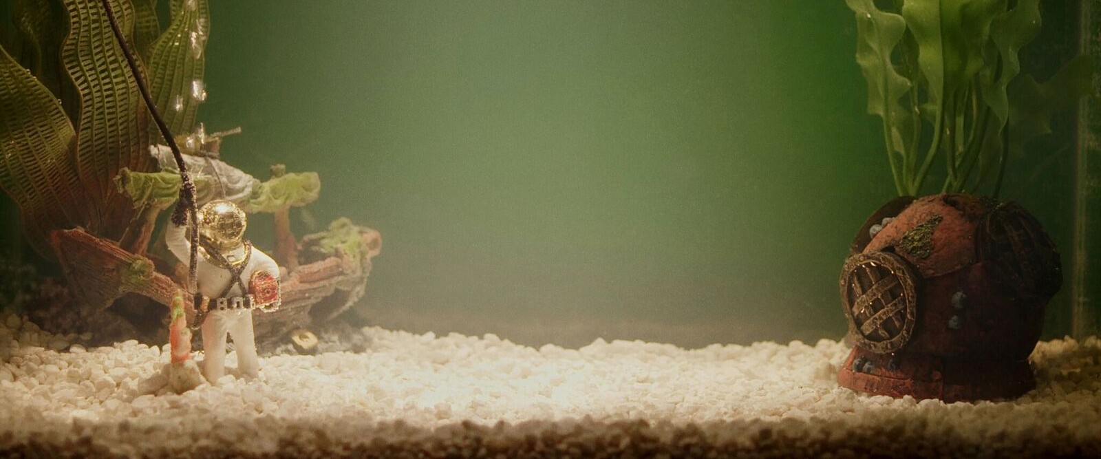 Pickle