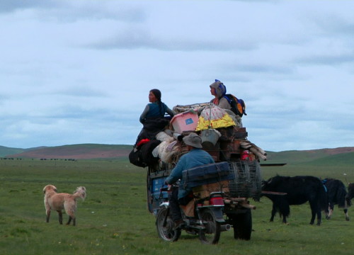 DROKPA Nomads of Tibet
