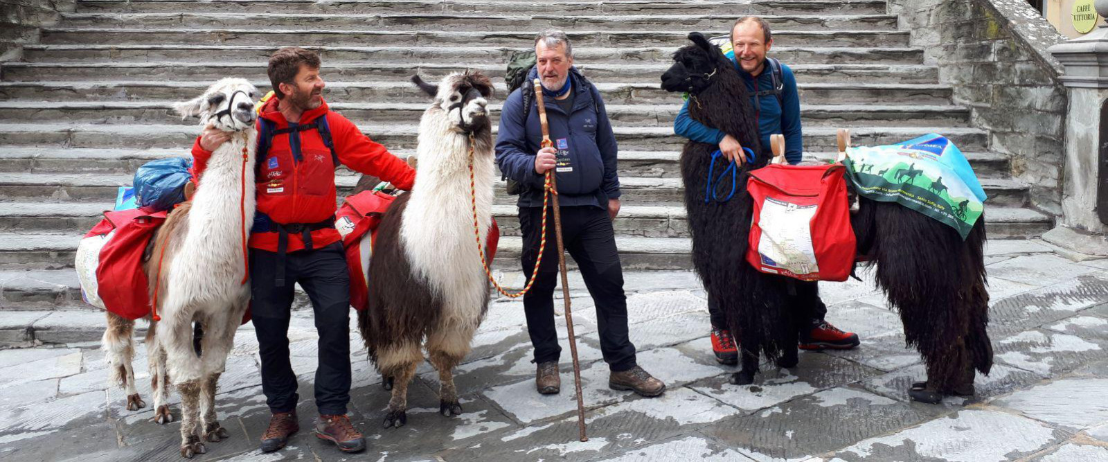 In pellegrinaggio dal Papa con i lama In pellegrinaggio dal Papa con i lama