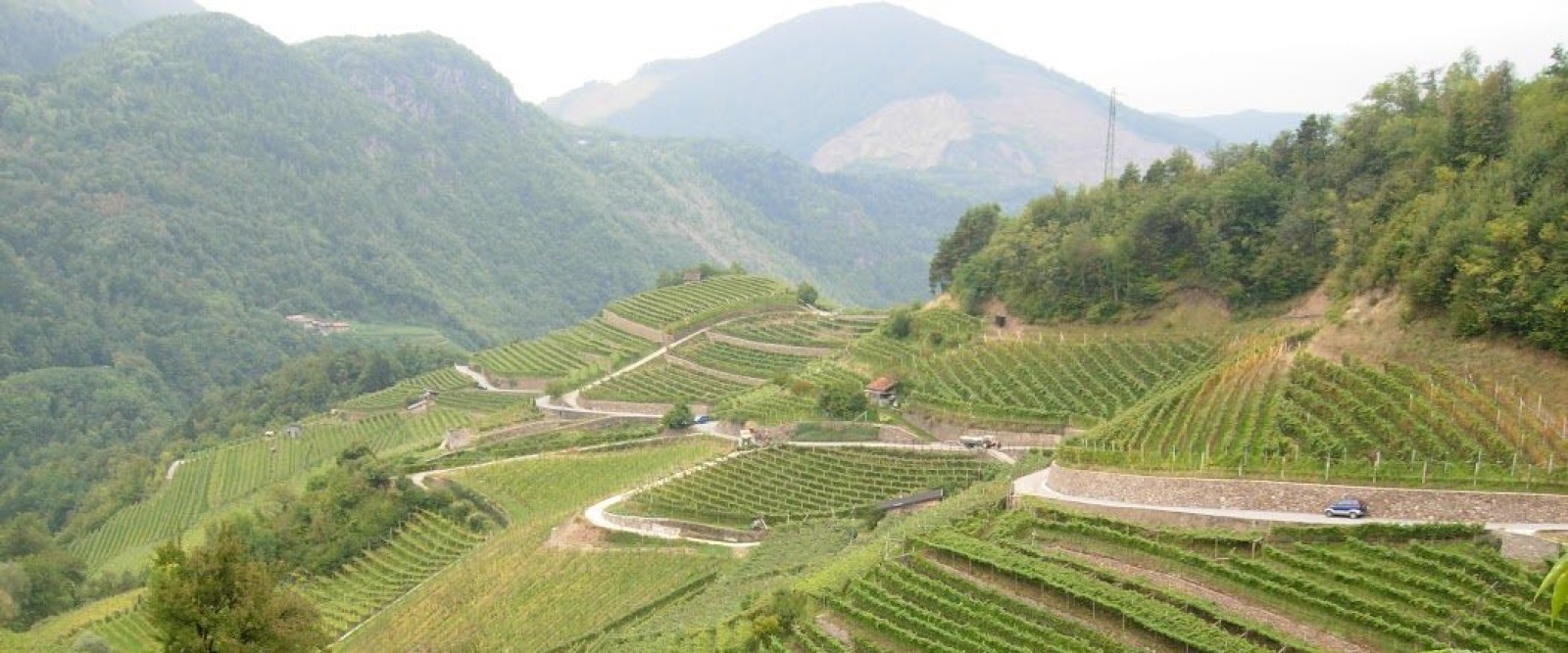 L’ARTE DELLA PIETRA A SECCO IN TRENTINO L’ARTE DELLA PIETRA A SECCO IN TRENTINO