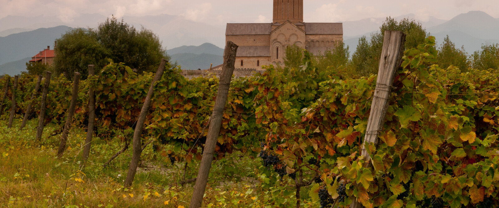 ARCHEVITIS. Georgia e Caucaso: alle origini del vino - CANCELED EVENT ARCHEVITIS. Georgia e Caucaso: alle origini del vino - CANCELED EVENT