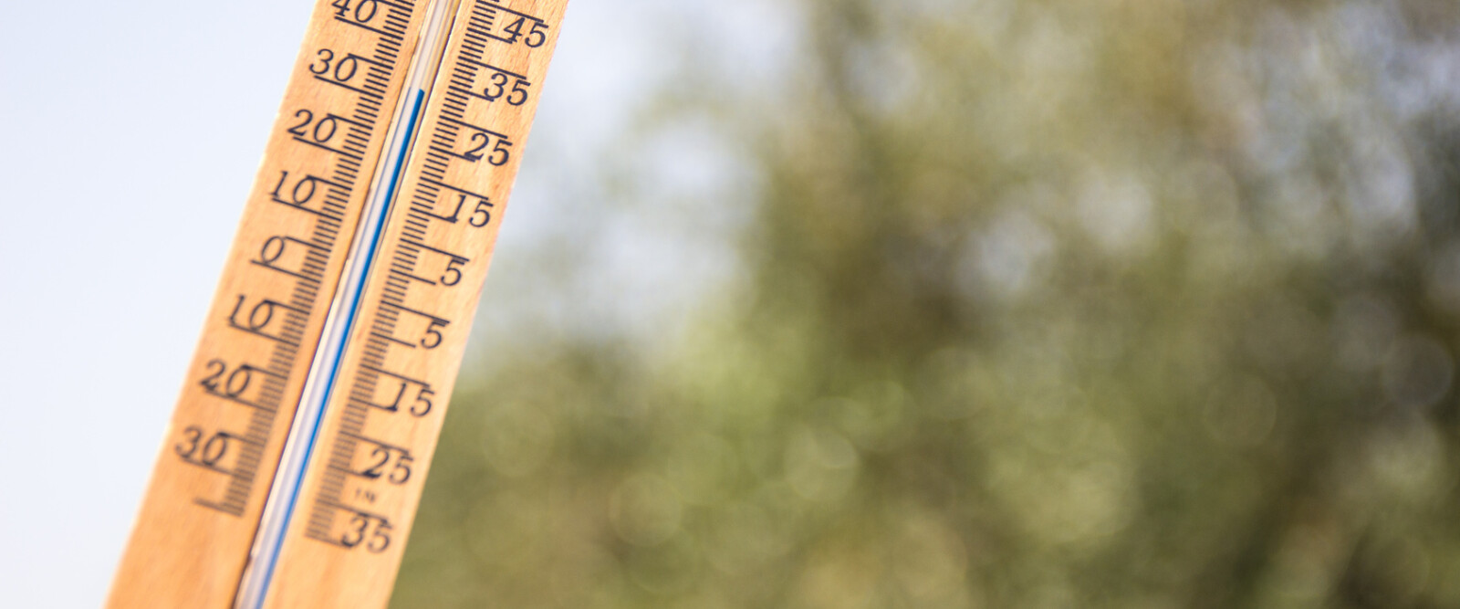 Gli indizi dei cambiamenti climatici Gli indizi dei cambiamenti climatici