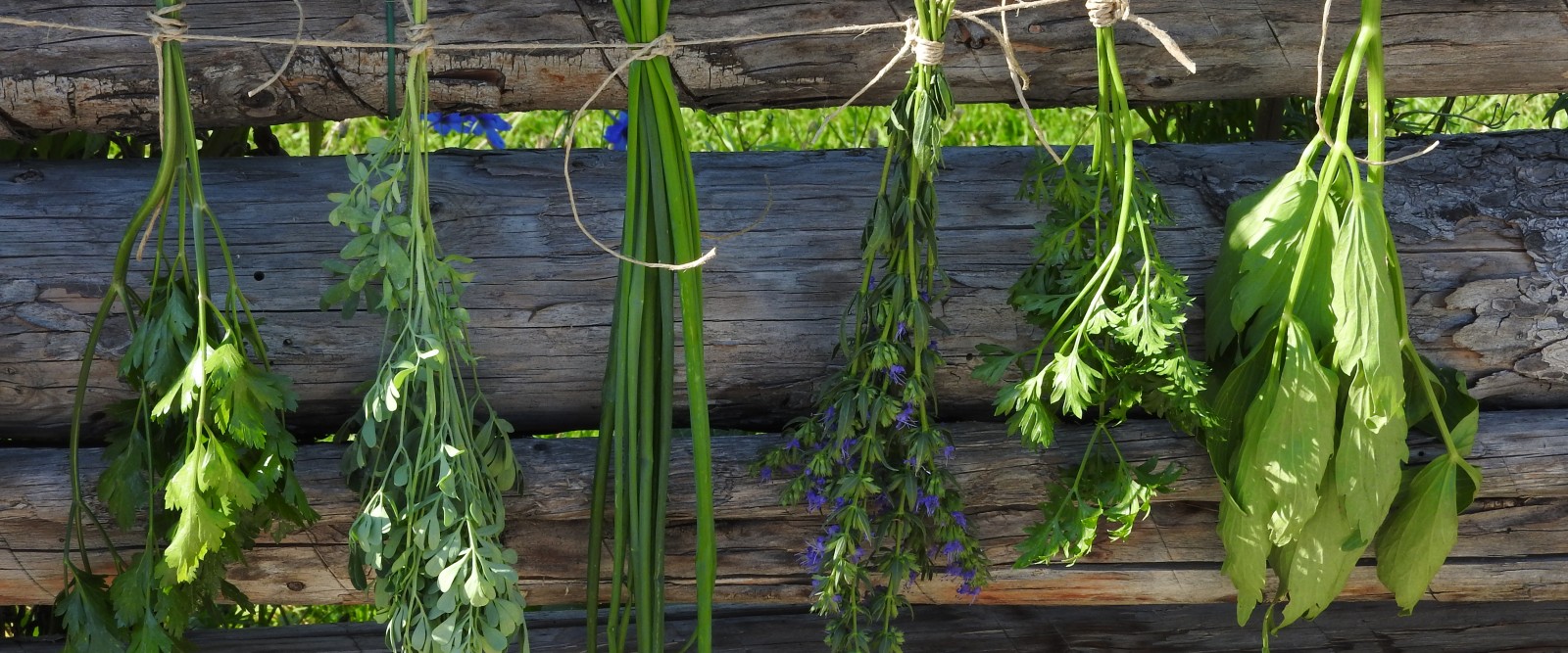 IL GIARDINO DEGLI AROMI