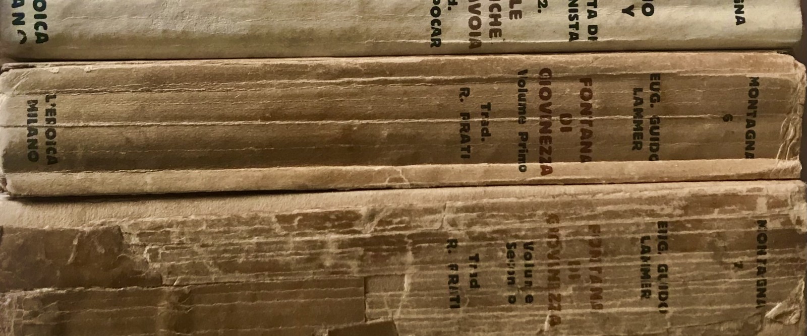LA DIFFICILE ARTE DEL TRADURRE LE MONTAGNE. I segreti per una buona versione dei libri d’alta quota