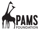 Pams Foundations