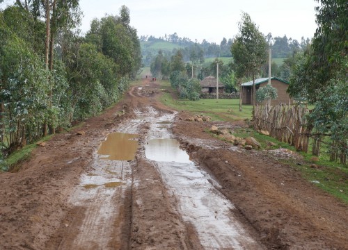Mud Road