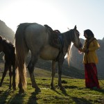 The Dream of a Horse