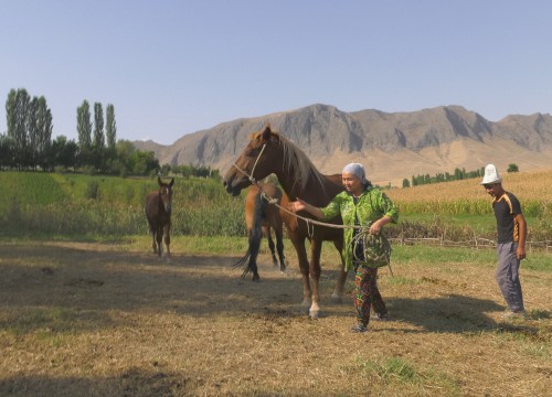 Atirkül in the Land of Real Men