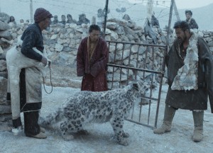 Xue Bao (Snow leopard)