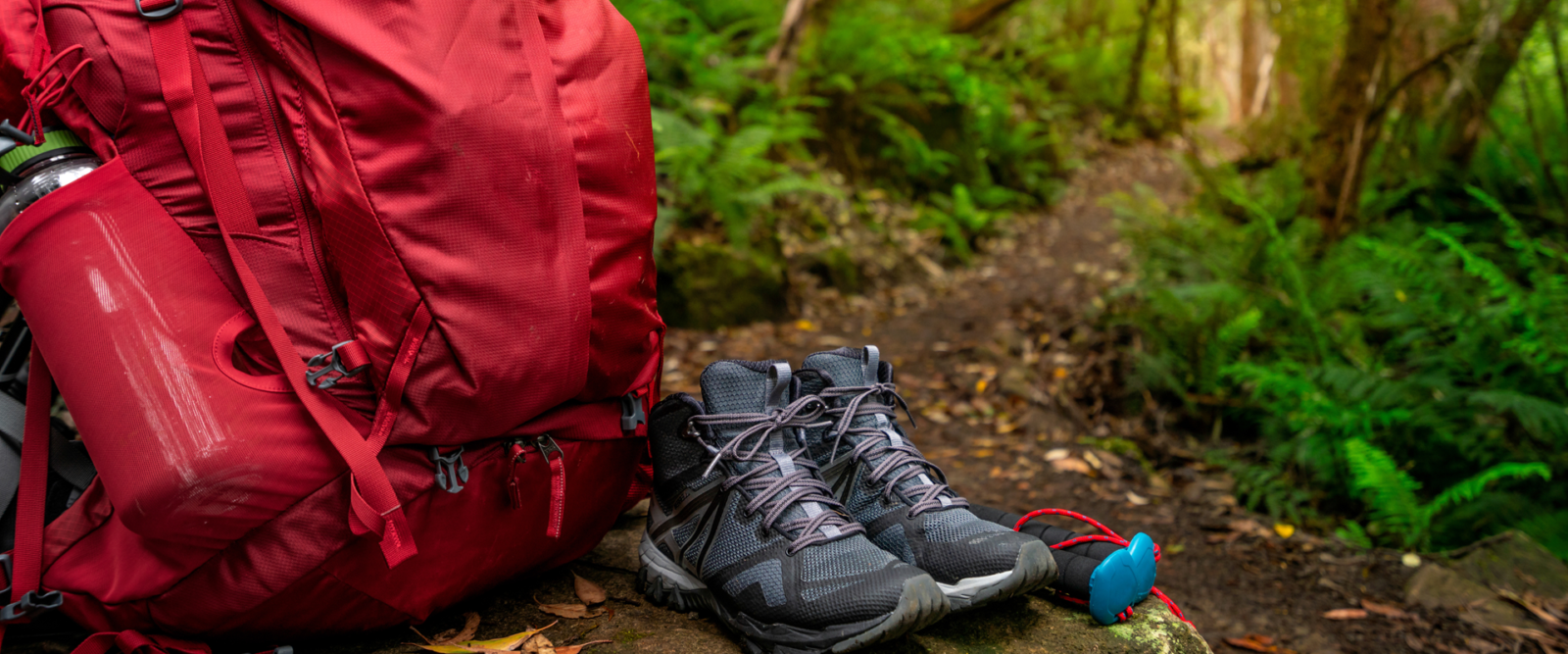 CIBO E MONTAGNA: PER SENTIRTI ANCORA PIÙ FORTE