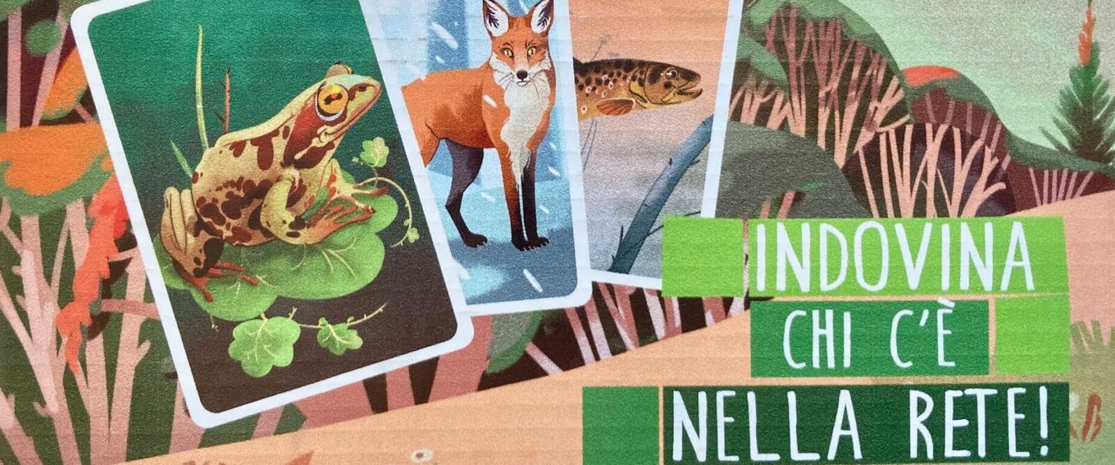 GIOCO "INDOVINA CHI C'E' NELLA RETE" GIOCO "INDOVINA CHI C'E' NELLA RETE"
