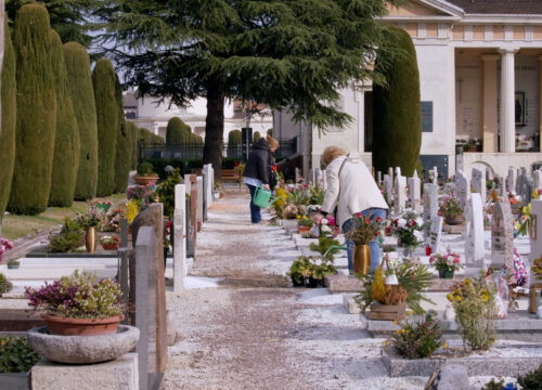 Conigli al Cimitero