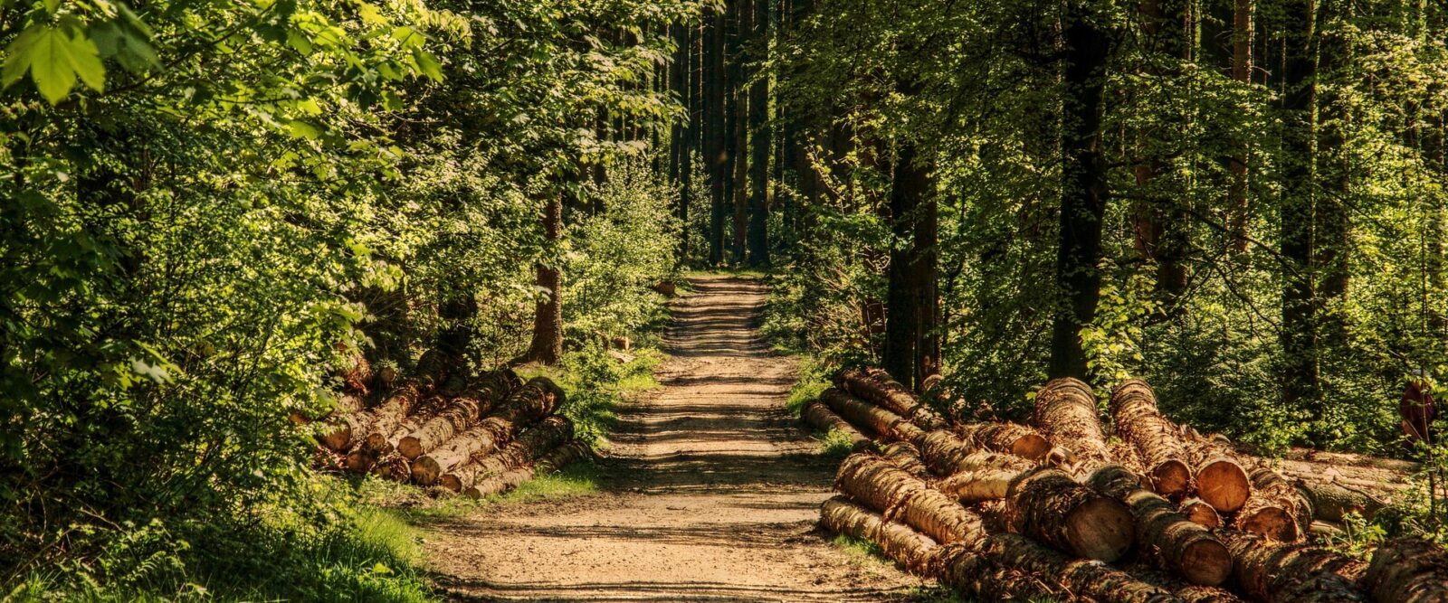 SCOPRIAMO LA NATURA