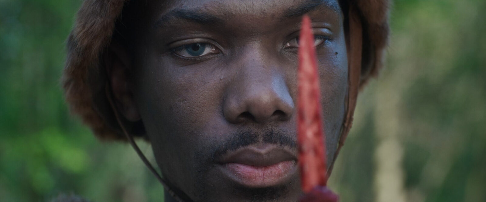 Odyssea: L’histoire de notre évolution