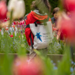 Parco dei Mestieri 2026