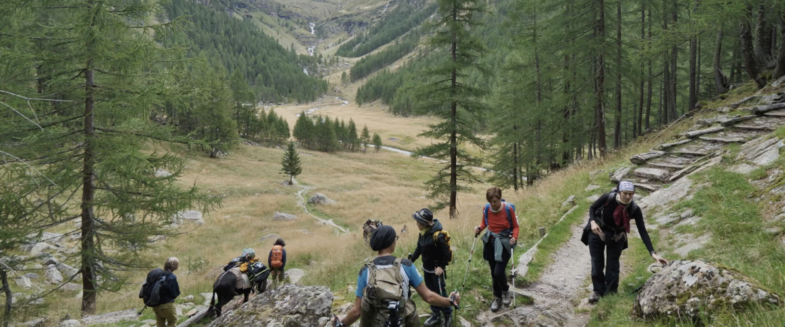 MOUNTAIN TRAILS: KEYS TO READING AND INTERPRETING THE MOUNTAINS