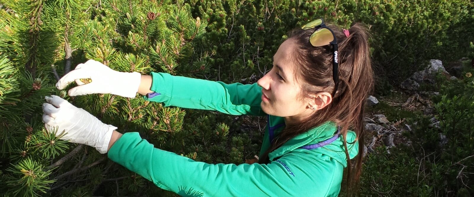 WE’RE STAYING HERE – STORIES OF YOUNG MOUNTAIN DWELLERS