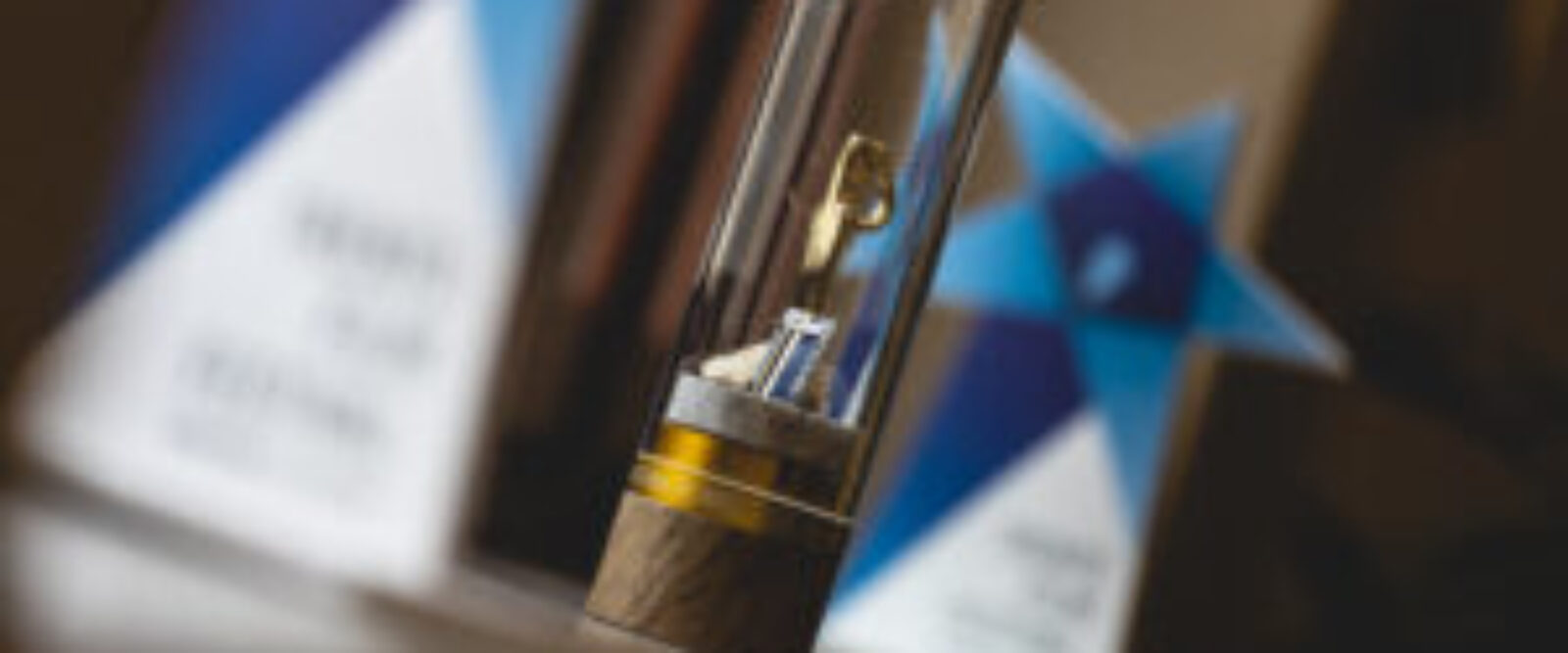 THE CHIODO D'ORO PRIZE FOR ITALIAN MOUNTAINEERING