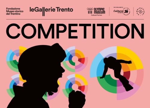 COMPETITION - ANELLI DI CONGIUNZIONE