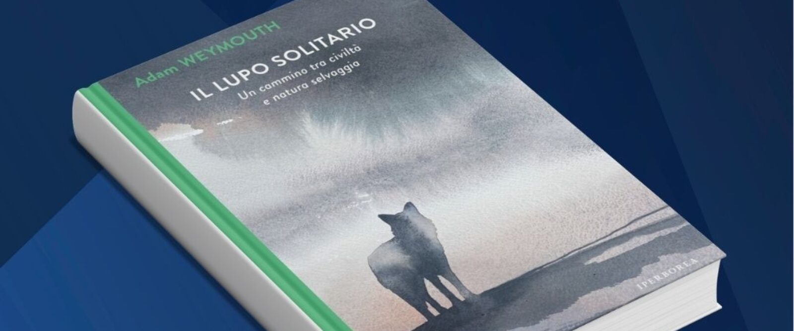 IL LUPO SOLITARIO