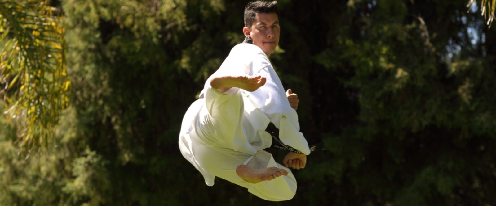 TAEKWONDO FREESTYLE: ENERGIA, CREATIVITÀ E SPETTACOLO