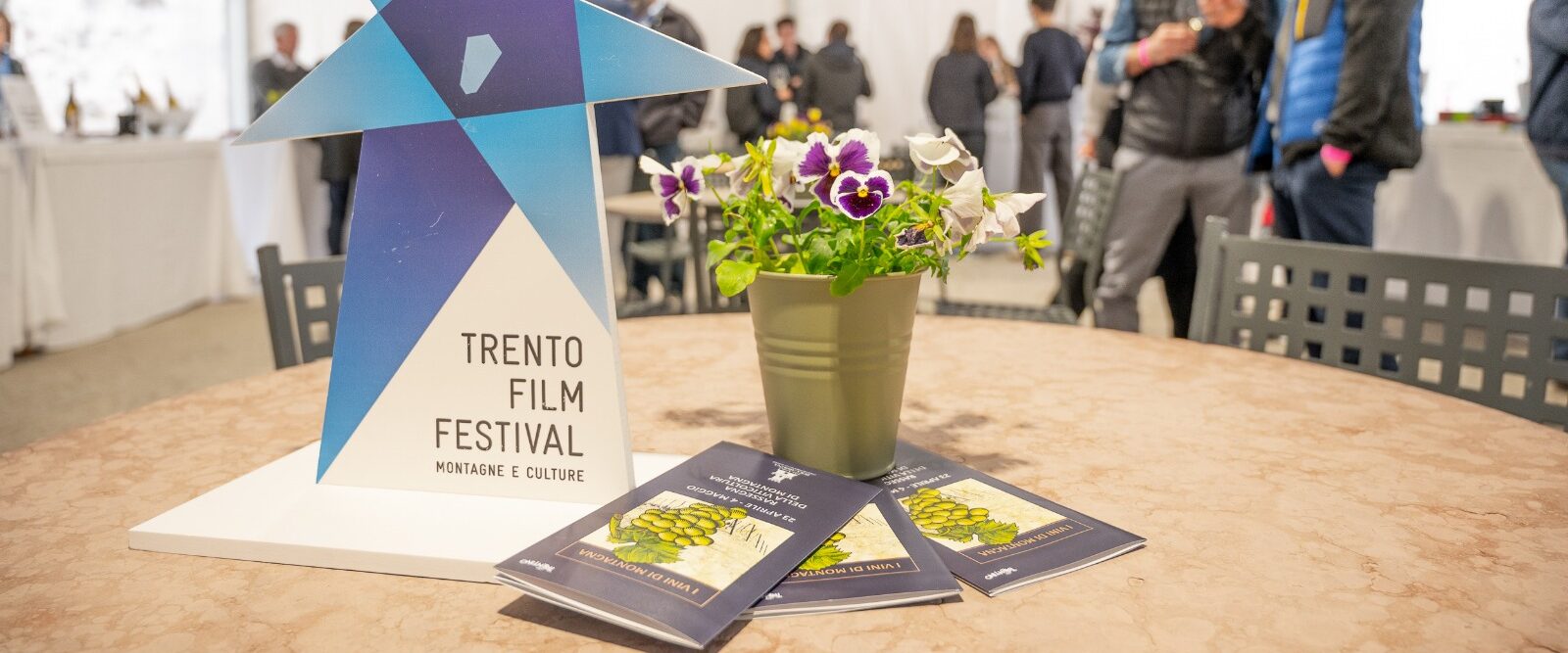 TRENTINO MOUNTAIN WINES AND THEIR TERROIR: CHALLENGES AND OPPORTUNITIES