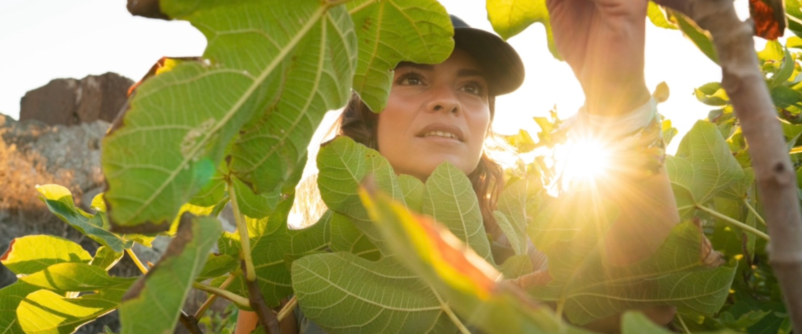 TREKKING & FORAGING: REDISCOVERING THE BOND BETWEEN THE LOCAL AREA AND FOOD ON A WALK