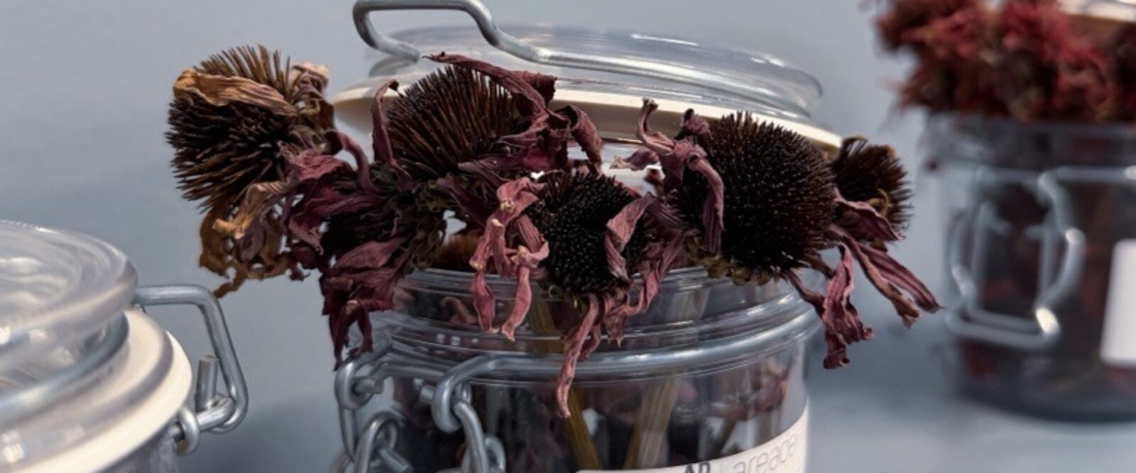 BEAUTY RITUALS: A WORKSHOP INSPIRED BY K-BEAUTY