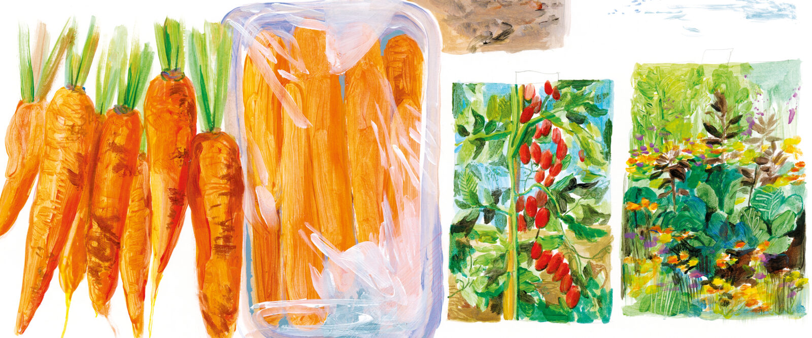 ZAPPE, STIVALI E RASTRELLI