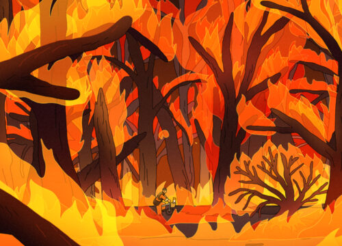 A Small Garden by the Window