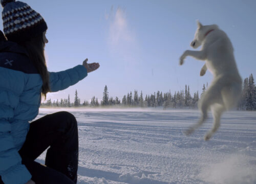 ANIME LIBERE - il richiamo del nord