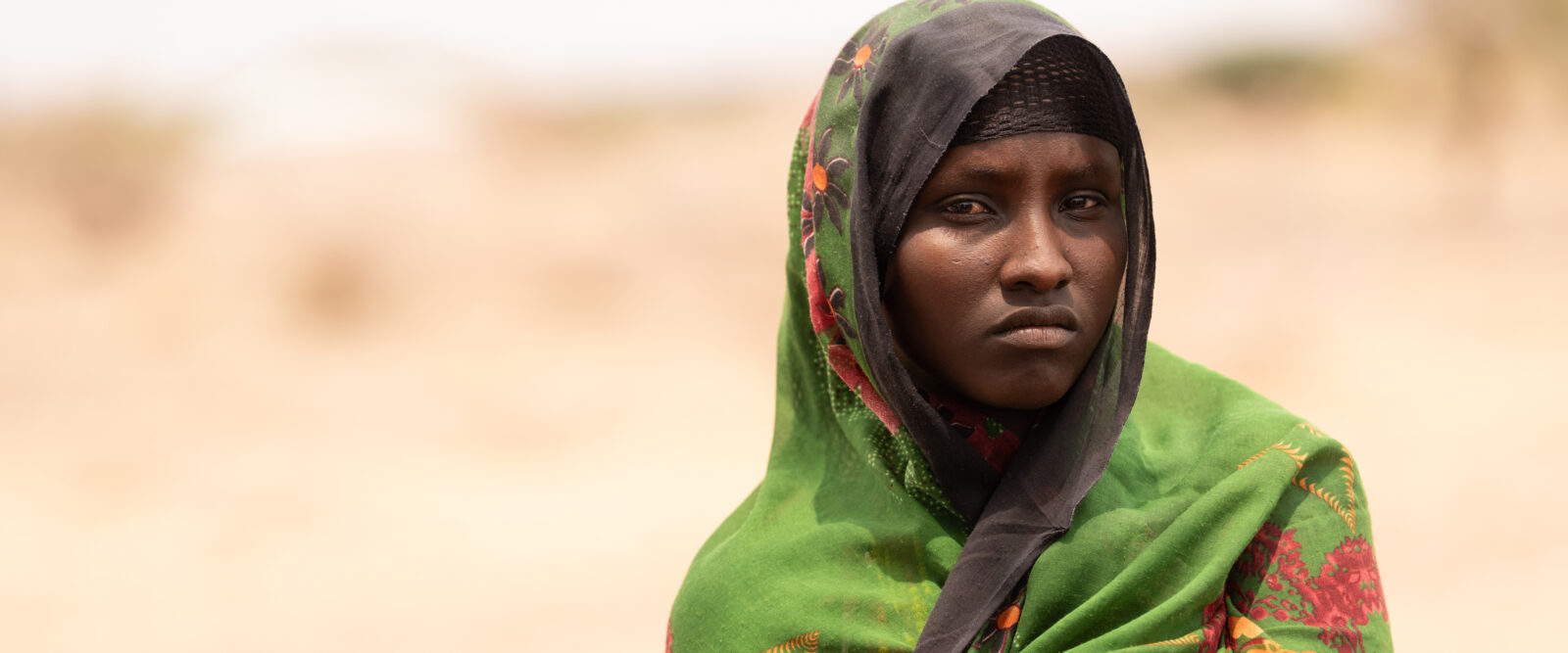 Barren lands - Terre aride