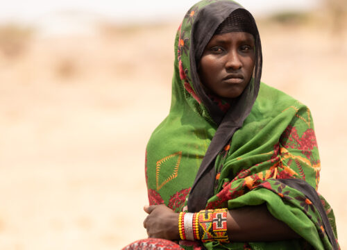 Barren lands - Terre aride