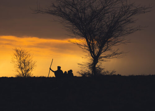 Barren lands - Terre aride