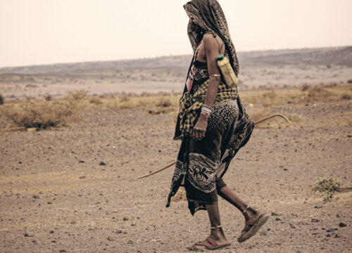 Barren lands - Terre aride