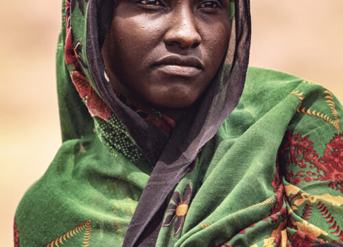 Barren lands - Terre aride