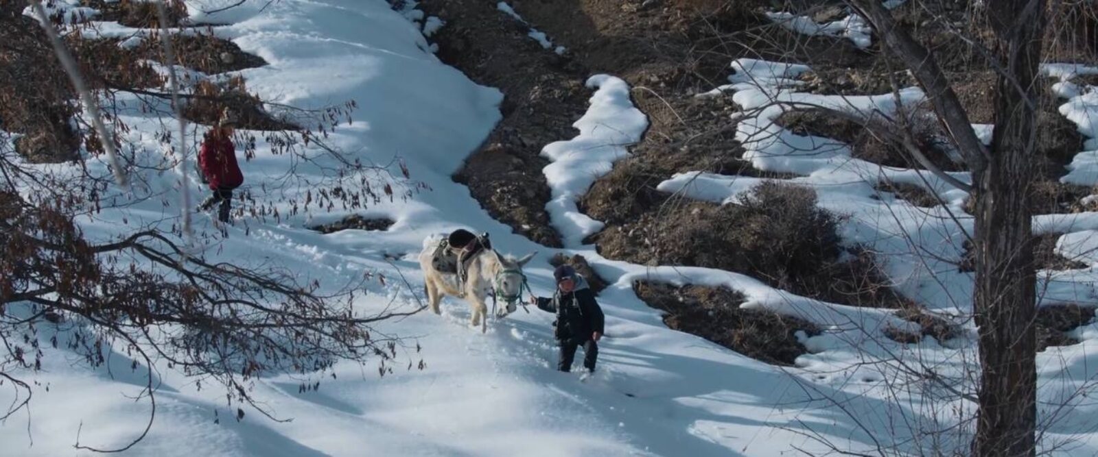 Children of the Mountains
