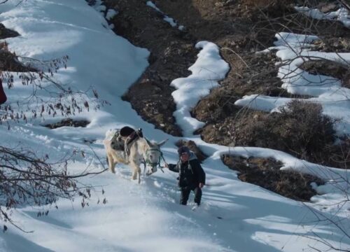 Children of the Mountains