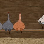 Das Huhn will fliegen