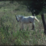 Dentro paesaggi di luce