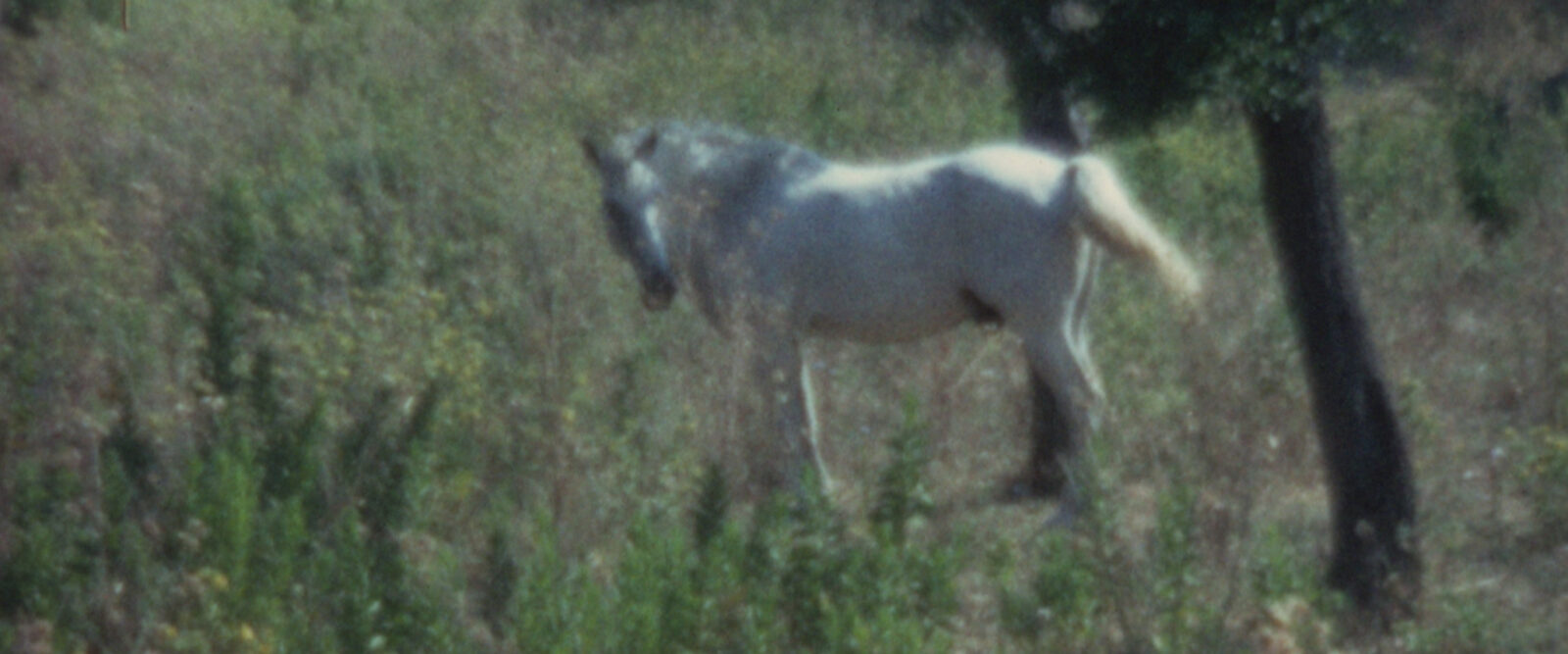 Dentro paesaggi di luce